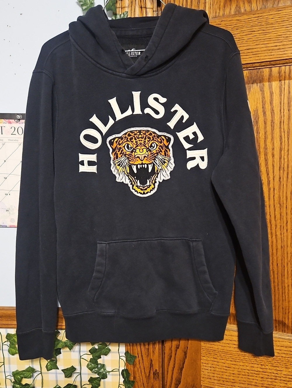 Hollister Black Hoodie with Embroidered Tiger and Arch Logo